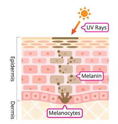 melanin-1.jpg